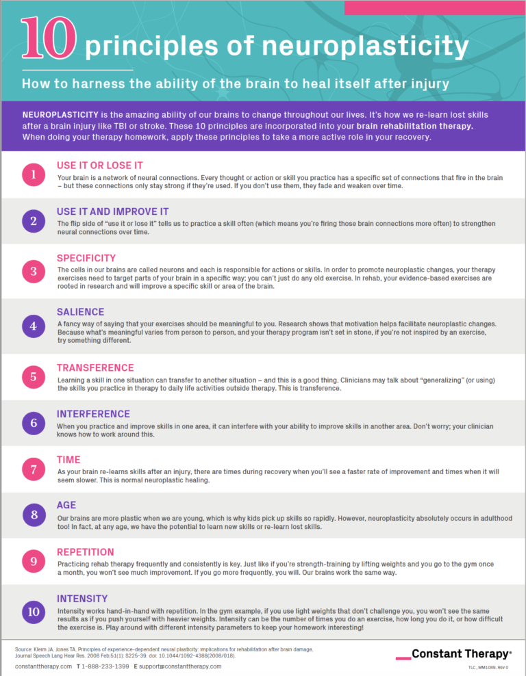 10 Principles Of Neuroplasticity: How To Harness The Ability Of The ...